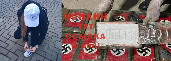 тгк Аркадак