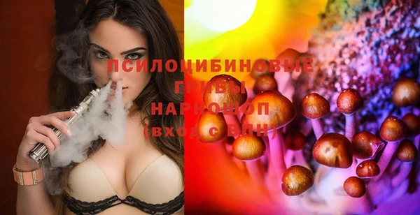 PSILOCYBIN Арсеньев
