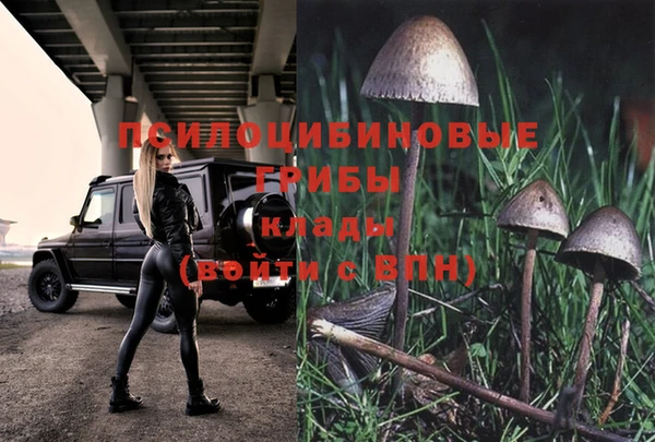 PSILOCYBIN Арсеньев