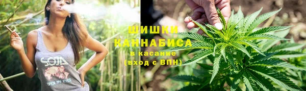 тгк Аркадак