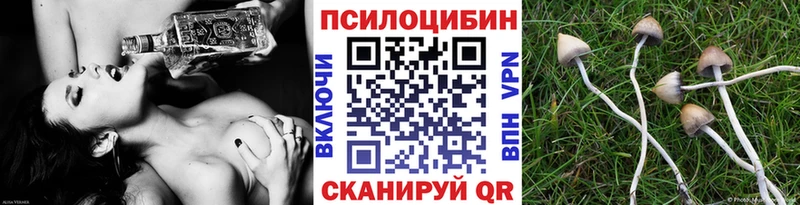 купить   Валдай  Галлюциногенные грибы MAGIC MUSHROOMS 